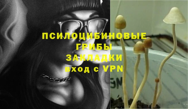 mix Горняк