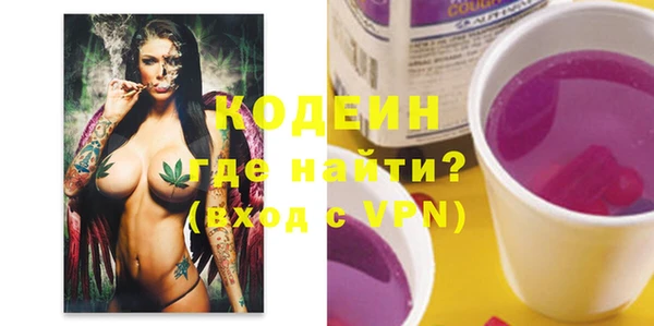 индика Горно-Алтайск