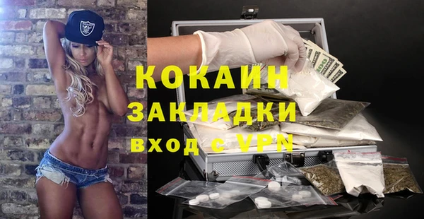 индика Горно-Алтайск