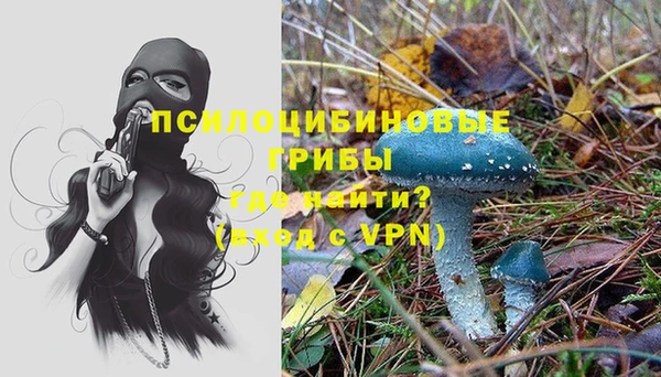 индика Горно-Алтайск