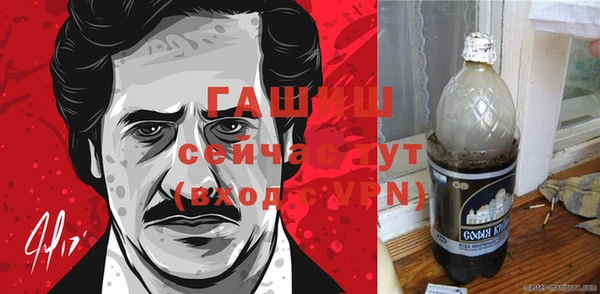 индика Горно-Алтайск