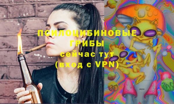 mix Горняк