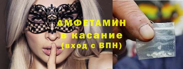 индика Горно-Алтайск