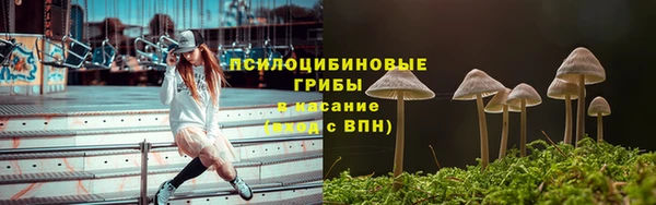 мет Горнозаводск